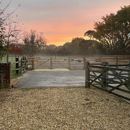 The Stable Yard @ Manor Bank Cottage 博利厄 外观 照片