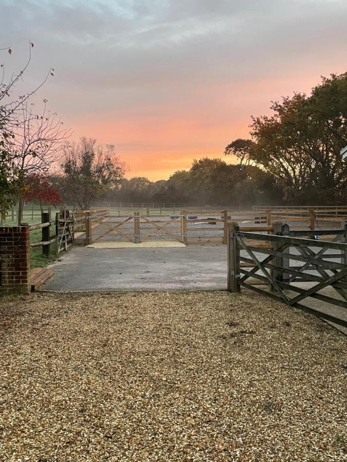 The Stable Yard @ Manor Bank Cottage 博利厄 外观 照片