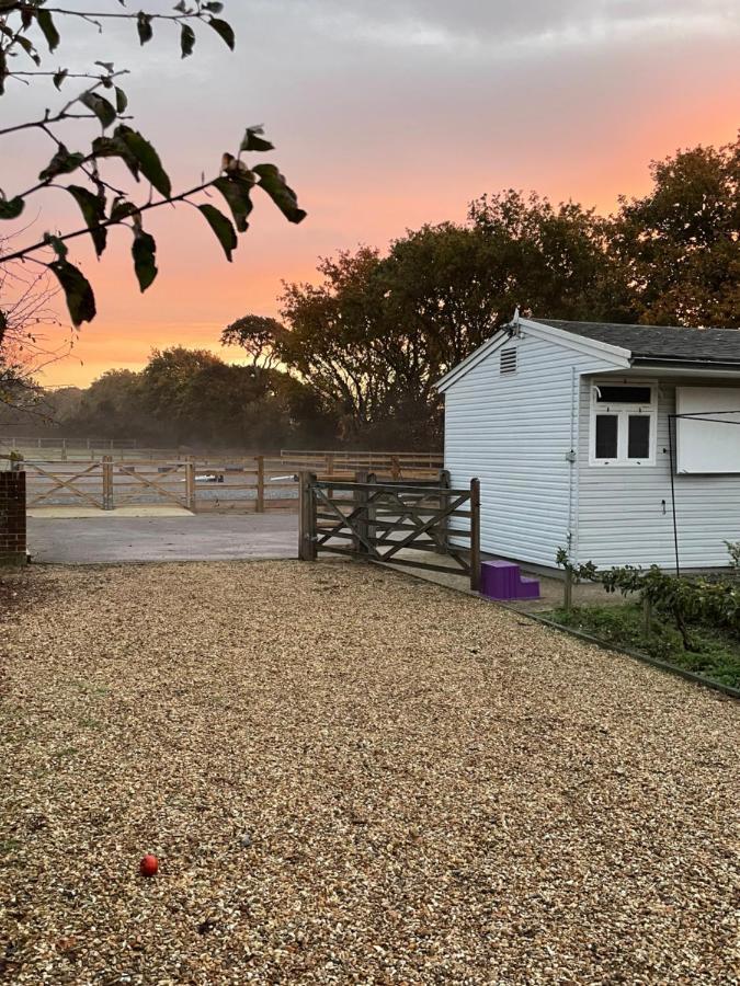 The Stable Yard @ Manor Bank Cottage 博利厄 外观 照片
